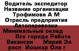 Водитель-экспедитор › Название организации ­ Трофимова А.М › Отрасль предприятия ­ Автоперевозки › Минимальный оклад ­ 65 000 - Все города Работа » Вакансии   . Марий Эл респ.,Йошкар-Ола г.